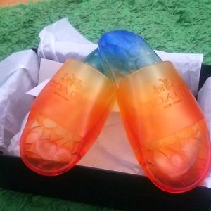 Brand new Coach rainbow slides